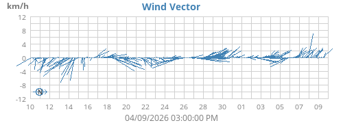 Wind Vector