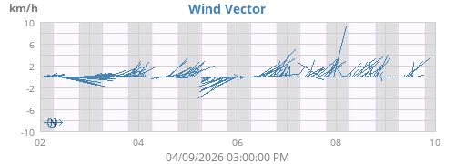 Wind Vector