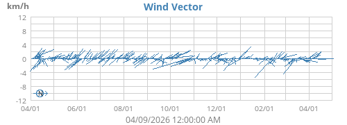 Wind Vector
